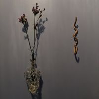  at Forest in Auckland