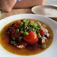   at Forest in Auckland