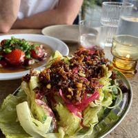   at Forest in Auckland