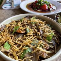   at Forest in Auckland