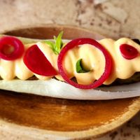 Witloof Taco at Forest in Auckland