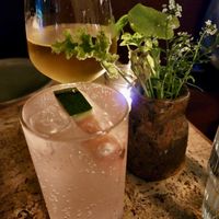 All cocktails and wine is Vegan!   at Forest in Auckland
