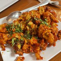 Gobi maunchurian  at Himalayan Range in Cary