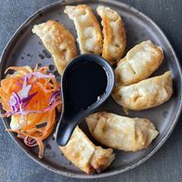 Potstickers  at I'm Vegan in Chicago