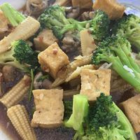 Tofu and broccoli with garlic sauce   at Baitong Thai & Sushi in St Augustine