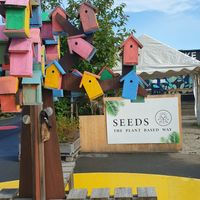 Welcome board at Seeds Cafe in Fornebu