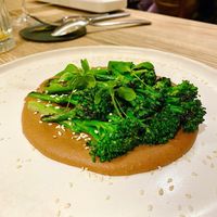 Main at KLE in Zurich