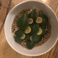 Salad at KLE in Zurich