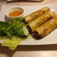 SpringRolls at Loving Hut - Na Porici in Prague