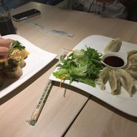 dumplings & summer rolls at Loving Hut - Na Porici in Prague