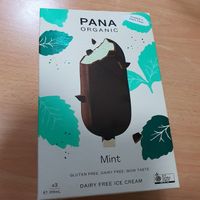 Chocolate mint dairy free ice cream at Little Farms - Holland Village in Central Singapore