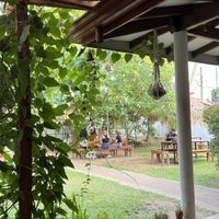 Outside   at Moochie's Cafe in Weligama