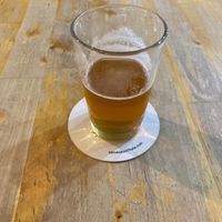 Beer  at Sip and Wonder in Alicante