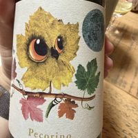 Vegan wine  at House of Plates in Castlebar