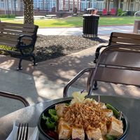 Soy-mate tofu bowl  at Sweet Octopus in Duluth