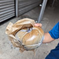 Blueberry bagel with tofu cinnamon walnut raisin cream cheese at Liberty Bagels in New York City