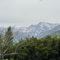   at Hakuba Taproom in Hakuba