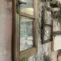 Locale at Santo Falafel in Florence