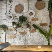   at Santo Falafel in Florence