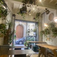   at Santo Falafel in Florence