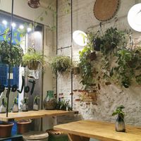 Great ambiance at Santo Falafel in Florence