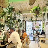   at Santo Falafel in Florence