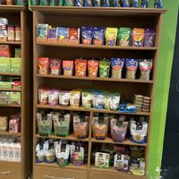 Pasta  at Govinda Vegetariano - Batista Campos in Belem