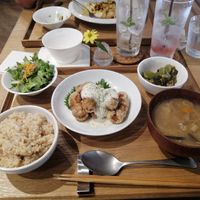 Miso soup, soy meatballs, brown rice, salad and aubergine at il riccio in Himeji