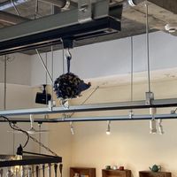 Hedgehog plush (riccio in Italian means hedgehog . They have hedgehog themed things all over the cafe)  at il riccio in Himeji