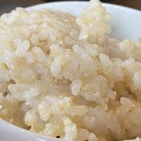 Brown rice at Genmai-an in Nara