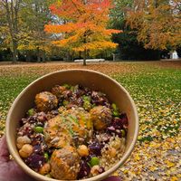 Bowl with falafel at Wild Foodz by Hotel Entree in Bruges