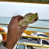 Cranberry bagel with Avocado and cashew cheese at Galapagos in Koh Lanta