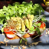 Avocado toast.  at Galapagos in Koh Lanta