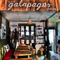 Galapagos from inside.  at Galapagos in Koh Lanta