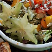 Und liebevoll dekoriert at Katzentempel in Regensburg