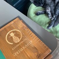 Eine der sechs süßen Tempelkatzen 💚  at Katzentempel in Regensburg