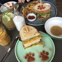   at Katzentempel in Regensburg