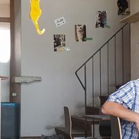 Location at Katzentempel in Regensburg