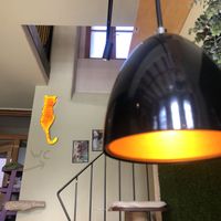 Certainly a Cat Temple! Meow 😻   at Katzentempel in Regensburg