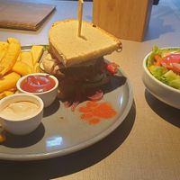 Burger Del Gatto on temple bread, with fries and a side salad at Katzentempel in Regensburg