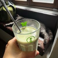 Matcha latte and 🐈‍⬛  at Katzentempel in Regensburg