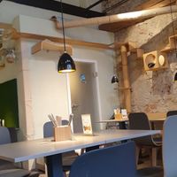  at Katzentempel in Regensburg