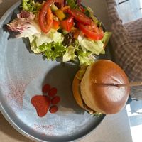  at Katzentempel in Regensburg