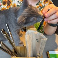 A kind gentleman offering personal drink tasting   at Katzentempel in Regensburg