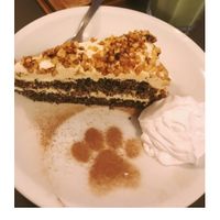 This cake was delicious!  at Katzentempel in Regensburg