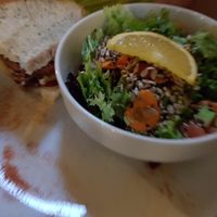 Wildcat Burger mit Salat at Katzentempel in Regensburg