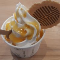 Ice cream with passion fruit syrup at FLIP in Dublin