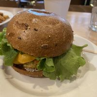 Flipper  at FLIP in Dublin