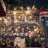 Ambiance!  at Death or Glory Bar in Delray Beach