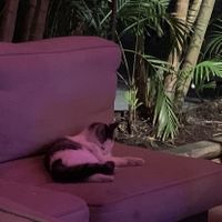 Live Entertainment! Ha ha  at Death or Glory Bar in Delray Beach